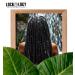 Loc Spray Coconut and Mango Dreads Moisturizer Daily Moisturizing Spray and Hydrating Mist Dreadlock Hair Product Lockology - Buy Online on GoSupps.com