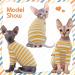 Breathable Summer T-Shirts for Hairless Cats | Soft & Skin-Friendly Cotton Clothing | Sphynx Cornish Rex & Devon Rex Jumpsuits - XXL Yellow - Buy Online on GoSupps.com