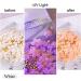 Pasotim 6 Boxes of 3D Light Changing Nail Flower Accessories with or Silver for DIY Art Decoration Supplies - Buy Online on GoSupps.com