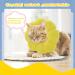 HYLYUN Cute Sun Flower Cat Recovery Collar - Adjustable E-Collar for Surgery Recovery - Buy Online on GoSupps.com