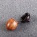 Buy Brown Wooden Travel Pill Case - Solid Wood Medicine Box Mini Acorn Shape Capsules Organizer for Outdoor Use - Buy Online on GoSupps.com