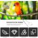 CIYODO 1 Set Parrot Anklet Parrot+Ring+Foot Bird Harness Parrot Foot Ring Bird Leash Conure Stainless Steel 23X4X0.1cm Silver - Buy Online on GoSupps.com