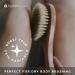Hydrea London Premium Cactus Bristle Dry Body Brush - Exfoliating Vegan Dry Brush for Cellulite Removal and Lymphatic Drainage - FSC Certified Beechwood - Buy Online on GoSupps.com
