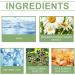 S Rum Anti- Ge Et Anti-Rides Ingr Dients Naturels Convient Tous Les Types De Peau Hypoallerg Nique (1) 4 ml (Lot de 5) - Buy Online on GoSupps.com