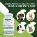 East Park Olive Leaf Extract 500mg Super Strength d-Lenolate | Immune System Booster with 18% Oleuropein | 180 Vegetarian Capsules (Non-GMO) - Buy Online on GoSupps.com