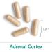 Nutricology Adrenal Cortex Natural Glandular - 100 Vegicaps for Enhanced Wellness | Buy Now! - Buy Online on GoSupps.com