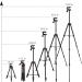 53-inch Tablet Tripod - Aluminum Stand for iPad, iPhone, Camera - Lightweight Selfie Stand for Travel - Black - Buy Online on GoSupps.com