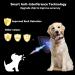 Beoankit Anti Bark Collar for Dogs - Dual Vibration, 5 Sensitivity Levels, 3 Modes - Grey - Buy Online on GoSupps.com