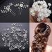 100cm / 39.3in Crystals Bridal Wedding Jewelry Hair Accessories for Women  1 Pair of Crystal Rhinestone Hair Pins  20 Pack Pearl Flower Crystal Hair Pins Clips 1 Pack Hair Headpiece Pearl