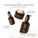 True Botanicals Phyto Retinol Sleep Serum | Non-Toxic Cruelty-Free Nighttime Anti-Aging | Retinol Alternative for Fine Lines & Wrinkles | MADE Safe 30ml - Buy Online on GoSupps.com