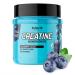 Evolite Nutrition Creatin Monohydrate 500g - Flavor Creatine Powder - Creatine Monohydrates Powder like Pre Workout Booster - Creatine Monohydrate - Flavor Powder With Taurin BlueBerry 500 G (1 Series)