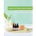 Weljoy Zen Essential Oil Set - 3 x 10ml Zen Garden Oils for Relaxation & Aromatherapy | International Shipping - Buy Online on GoSupps.com