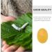 PRETYZOOM Lot de 12 Boules Nettoyantes Visage en Soie Naturelle Jaune Exfoliation Douce Nettoyage de Beaut Bio Coques de Cocons de Soie Soin Visage Naturel et Hypoallerg nique Peau - Buy Online on GoSupps.com