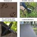 Camping Tent Tarp Hammock Rain Fly Tarp | Waterproof 10X10FT Green Tarp for Backpacking | Lightweight Emergency Shelter Tarp - Buy Online on GoSupps.com