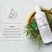 Lice Prevention Shampoo - Kills Lice & Eggs with Citronella Peppermint & Rosemary | Safe for Daily Use | Sulfate & Paraben Free | All Hair Types - 8 Fl Oz - Buy Online on GoSupps.com