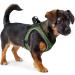 HUNTER Hilo Comfort Harness - Lime Green XXS-XS | Premium Pet Gear for International Shipping - Buy Online on GoSupps.com