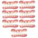 Xzlzmd dentures silica top Bottom dental prostheses lnstant repair of cracked or missing dental prosthesis cosmetic natural color temporary prosthesis teeth veneer 7 pairs