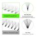 500 Handmade 10D 0.05-D Premade Fans Eyelash Extensions 8-15mm - C/D Curl, Thin Base, Mixed Length - Volume Lash Fans - Buy Online on GoSupps.com