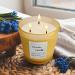 Luxury Citronella Candle | 30oz 3 Wick Aromatherapy | Natural Soy Wax | Indoor & Outdoor Scented | 120 Hours Burning Time | Relaxing Yellow Decor - Buy Online on GoSupps.com
