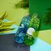 Body Mist Set (Coconut Lime Passionate Island) 5 Fl Oz Each Pack of 2 Fragrance Mist for Men & Women - Buy Online on GoSupps.com