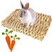 Roadloo Small Pet Grass Mat - 4 Edible Natural Grass Mats for Rabbits Guinea Pigs Rats Parrots & Ferrets | Safe & Fun Animal Toy - Buy Online on GoSupps.com