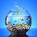 Shop Cobee 20-Piece Artificial Floating Fish for Aquarium | Realistic Tropical Fish Decorations & Bathing Toys - Buy Online on GoSupps.com