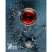 Natural Moose Tea |VANCOUVER | Blen of black tea with spices and caramel pieces Vancouver I Butterscotch and Mapple Syrup 100 g (Pack of 1) - Buy Online on GoSupps.com