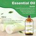 EUQEE Citronella Essential Oil 118ml - Pure Aromatherapy Oil for Diffusers and Humidifiers - Buy Online on GoSupps.com