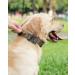 Joytale Tactical Dog Collar for Large Dogs | Durable Khaki Collar with Handle & QR Code Dog Tag | Perfect for International Shipping - Buy Online on GoSupps.com
