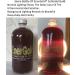 EnerGold 10X Concentrated 200ppm Colloidal Gold - 32oz (2 x 16oz Bottles) - Buy Online on GoSupps.com