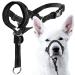 Goodboy Dog Halver with Service belt-stops heavy pulling on a leash-padded halter for small medium-sized and large dog sizes-Halter training instructions included in the scope of delivery Size 2 (Pack of 1) Black