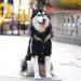 NAMSAN Dog Sweater | Warm Winter Clothes for Large Dogs | Black Button Design Hoodie - 4XL - Buy Online on GoSupps.com