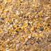 16% Organic Layer Mash 3KG Certified Organic Laying Hen Feed Hen Feed Organic Grains Vitamins & Minterals No Fillers No Animal Byproducts Non-GMO - Buy Online on GoSupps.com