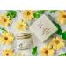 Green + Lovely Herbal Salve with Calendula + Comfrey - Organic Multi-Purpose Skin Cream Bruise Eczema Ointment - Beauty Intensive Moisturizer Sensitive Skin - (Unscented) - 1 oz - Buy Online on GoSupps.com