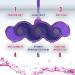 Cillit Bang 6in1 Toilet Budder - Wild Orchid Toilet Water Purple - 3 Pack for Fresh & Clean Toilet with Every Flush - Buy Online on GoSupps.com