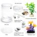 Betta Fish Tank 360 Aquarium with LED Light | 1 Gallon Self-Cleaning Bowl | Small Starter Kit for Desktop Decoration - Buy Online on GoSupps.com