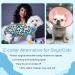 Kuoser Dog Body Suit for Post-Surgery | Breathable E-Collar Alternative for Male & Female Dogs - XS Light Blue - Buy Online on GoSupps.com