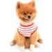 Smalllee Lucky Store: Summer Striped T-Shirt for Small & Medium Dogs | XS Red | Ideal for Yorkies Chihuahuas & Cats - Buy Online on GoSupps.com