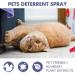 MRGIINRI Cat Wall Bed 50mlCat Spray Training Aid For Cat Scratch Furniture Protector Keep Pet Off Indoor Outdoor Use Cat Devices Indoor (A One Size) - Buy Online on GoSupps.com