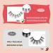 Half Lashes Cateye Wispy - 10mm Hand-Knotted Clean Band False Eyelashes | 10 Pairs Natural Look - Buy Online on GoSupps.com