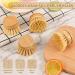 tibiu 6Pcs Soft Sisal Bristle Dish Natural Washing Brush Eco-Friendly Washing Up Brush Replacement - Buy Online on GoSupps.com