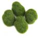 12Pcs Moss Ball Terrarium Decorative Artificial Green Moss Stones Simulation Grass Bonsai DIY Landscape Decor - Buy Online on GoSupps.com