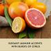 Baylis & Harding Sweet Mandarin & Grapefruit Luxury Slipper Gift Set - Vegan Friendly - Buy Online on GoSupps.com