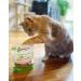 Shameless Pets Cat Treats - Catnip Crunchy Treats for Coat and Digestive Support - Upcycled Natural Ingredients - Real Meat - Low Calorie Healthy Food - 3-Pack - Buy Online on GoSupps.com