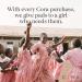 Cora Organic Ultra Thin Period Pads with Wings - Super Absorbency | 100% Organic Cotton Topsheet (72 Count) - Buy Online on GoSupps.com