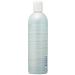 AQUAGE Equalizing Detangler 12 oz. - Smooth & Knot-Free Hair Solution - Buy Online on GoSupps.com