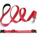 Shop Tagme Reflective Dog Collar & Leash Set - Personalizable XS Red 1.5m Dual-Sided Leash for Small Dogs - Buy Online on GoSupps.com