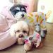 HYLYUN 2 Pack Puppy Pajamas - Cats Onesie for Small Dogs and Cats | Soft Cotton Rompers for Pets | Cozy Pet Jumpsuits | S Size (Back 7.9) - Pack of 2 - Buy Online on GoSupps.com