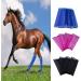 Pack of 4 breathable protective boots for horses - Buy Online on GoSupps.com