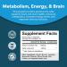 Alpha Lipoic Acid Supplement with Acetyl L-Carnitine - Boost Memory and Energy Levels - 60 Capsules - Buy Online on GoSupps.com